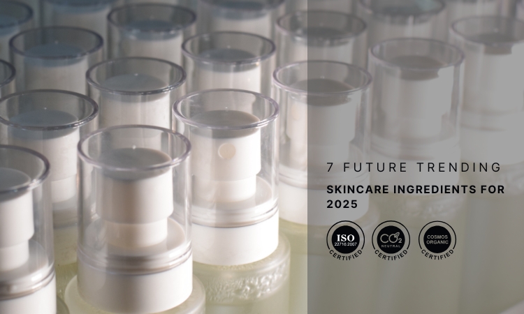 7 Future Trending Skincare Ingredients For 2025 