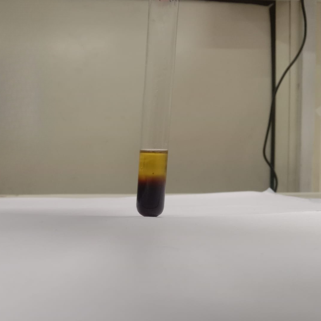 Alkaloid-testing-in-Neem-Seed-Oil