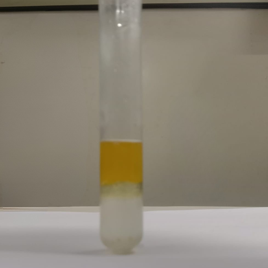 Flavonoids-testing-Moringa-oil