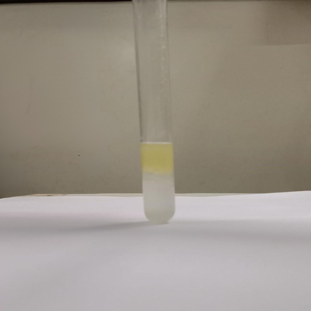 Flavonoids-testing-in-Cucumber-Seed-Oil