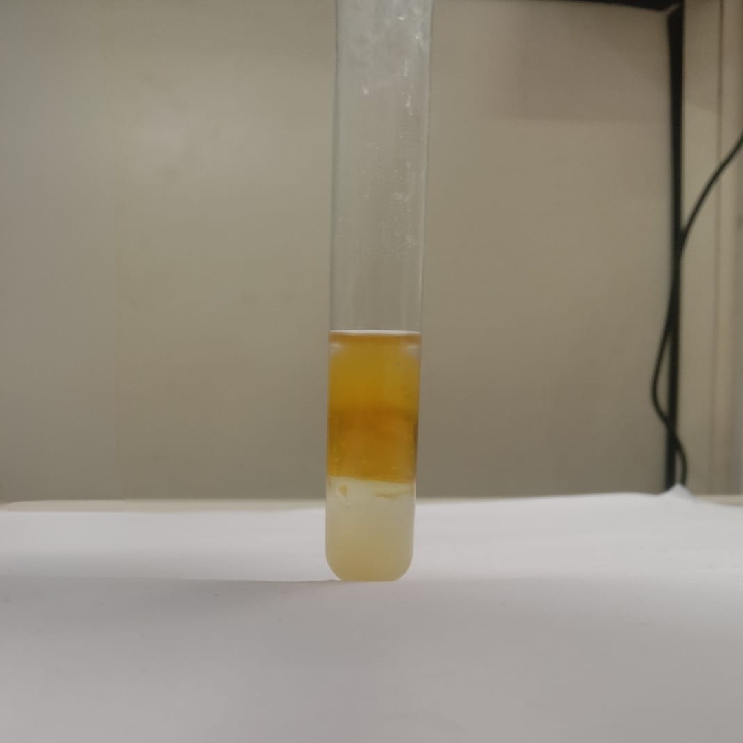 Flavonoids-testing-in-Neem-Seed-Oil