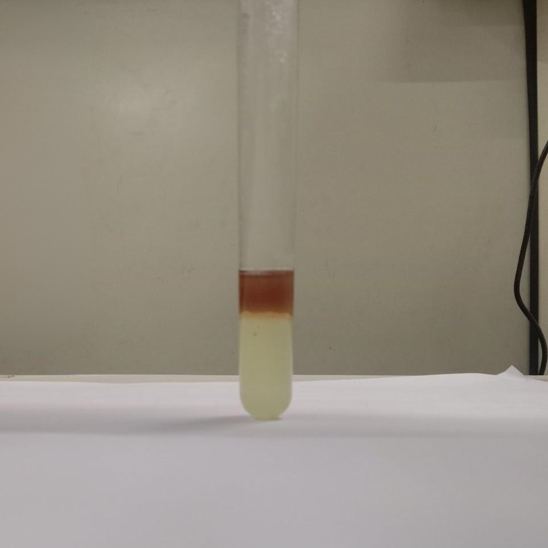 Flavonoids-testing-in-Pumpkin-Seed-Oil