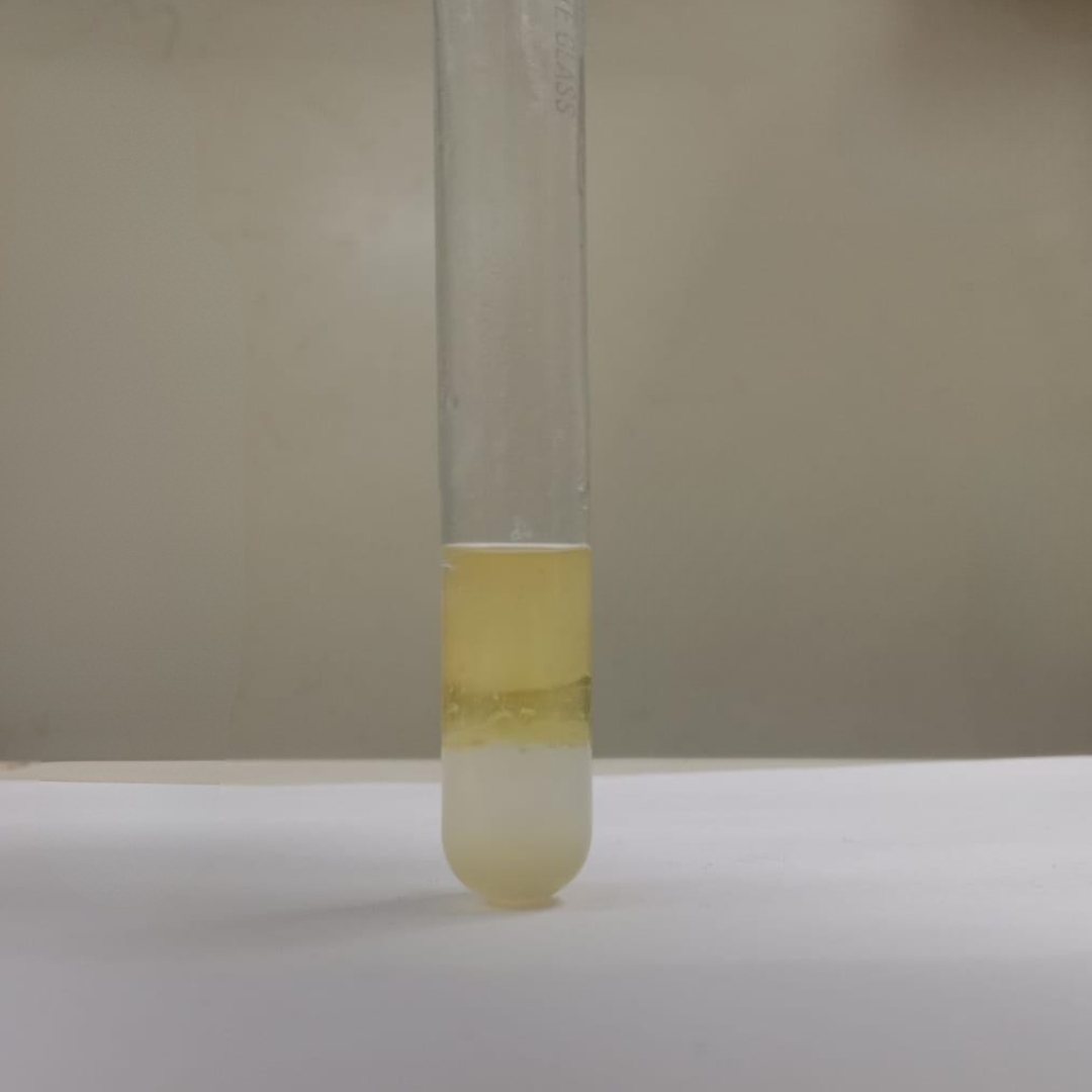 Flavonoids