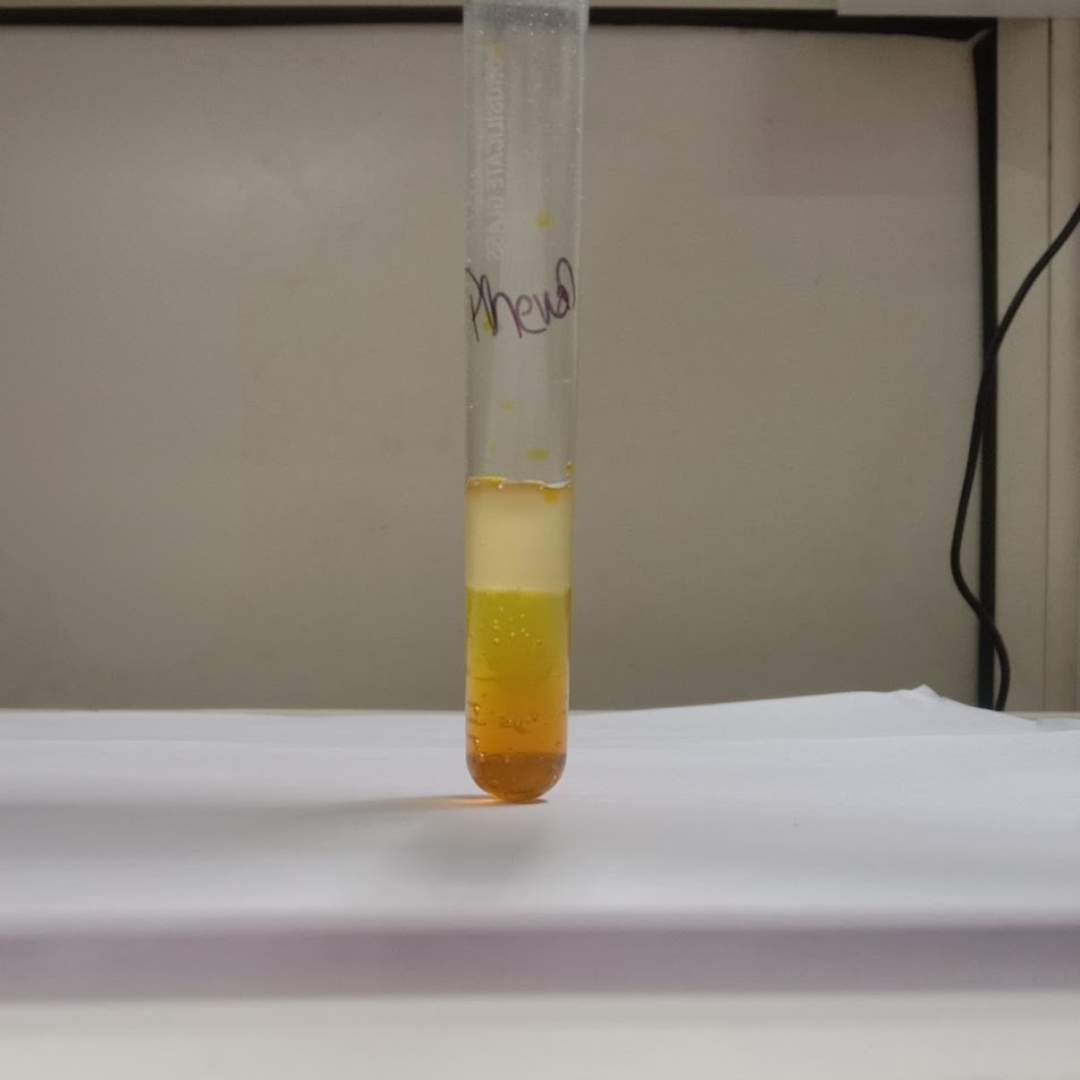 flavonoid-testing-in-Apricot-Kernel-Oil