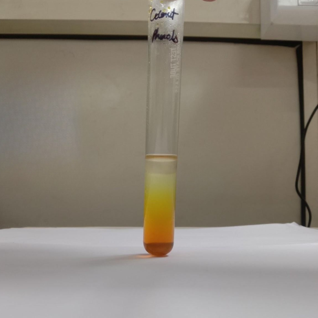 Phenol-testing-in-coconut-oil