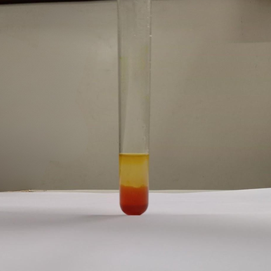 Phenols-testing-in-Cucumber-Seed-Oil