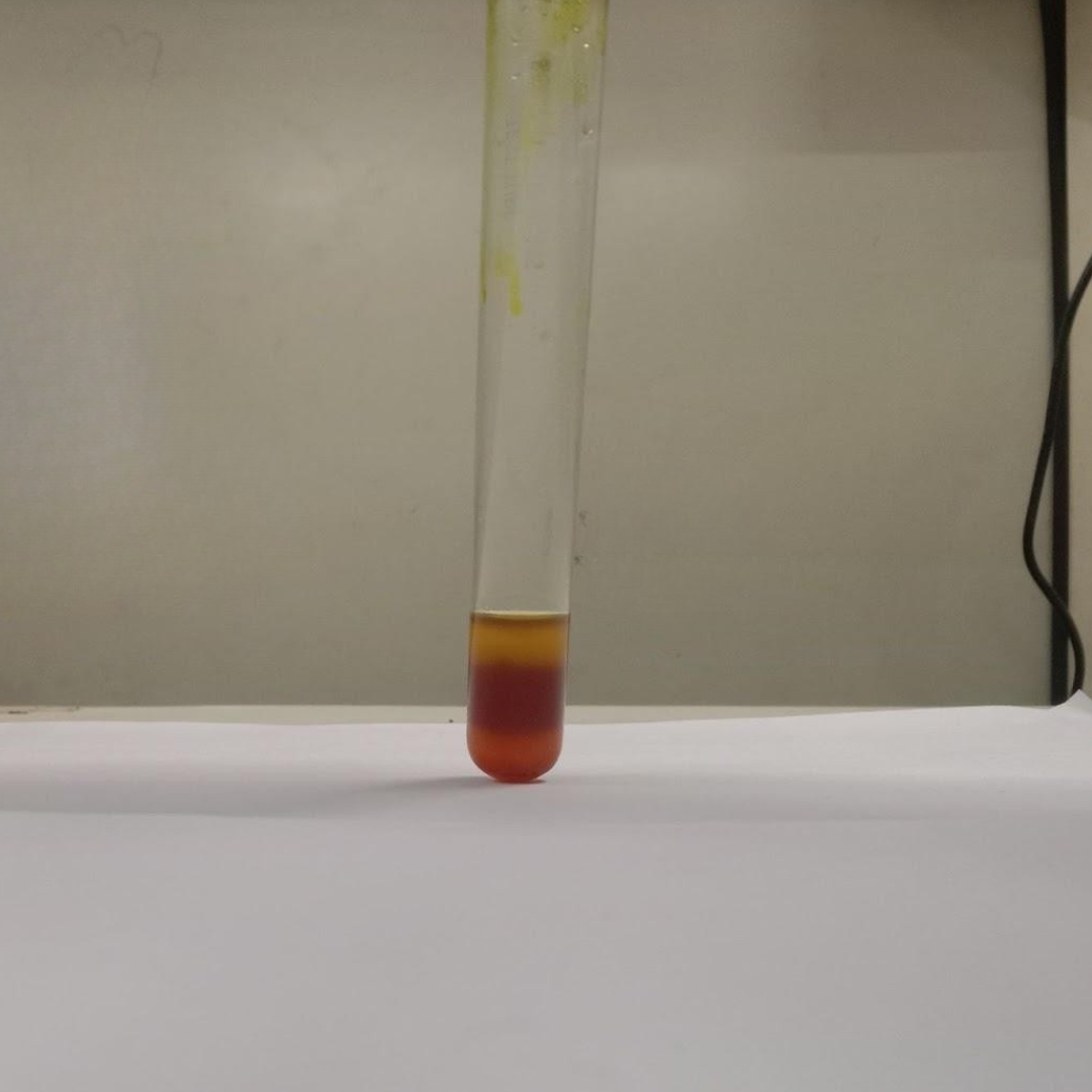 Phenols-testing-in-Pumpkin-Seed-Oil