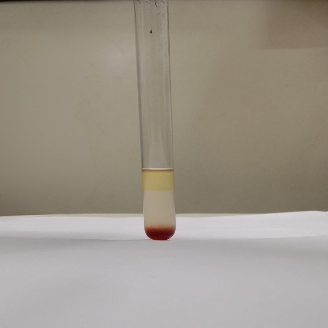 Phytosterols-testing-in-Cucumber-Seed-Oil