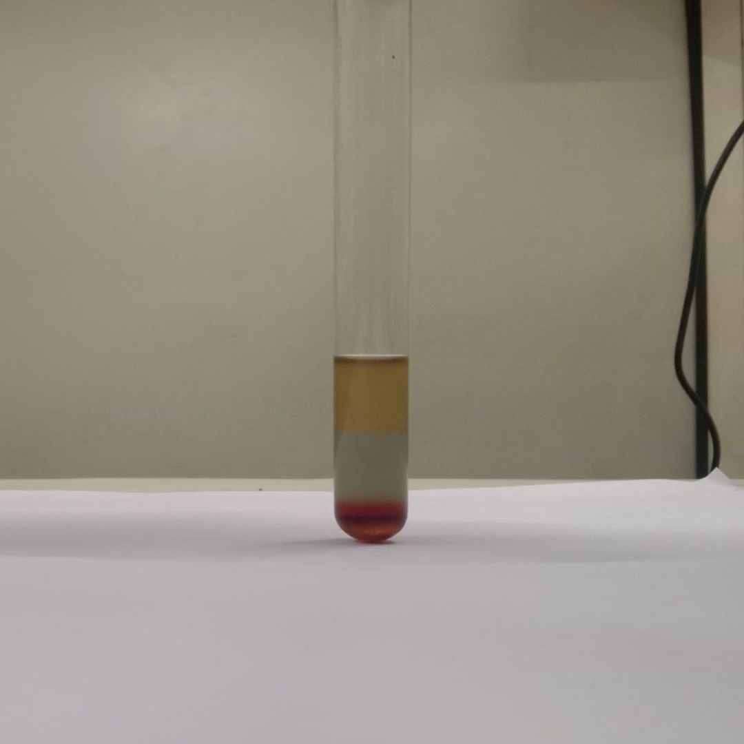 Phytosterols-testing-in-Pumpkin-Seed-Oil