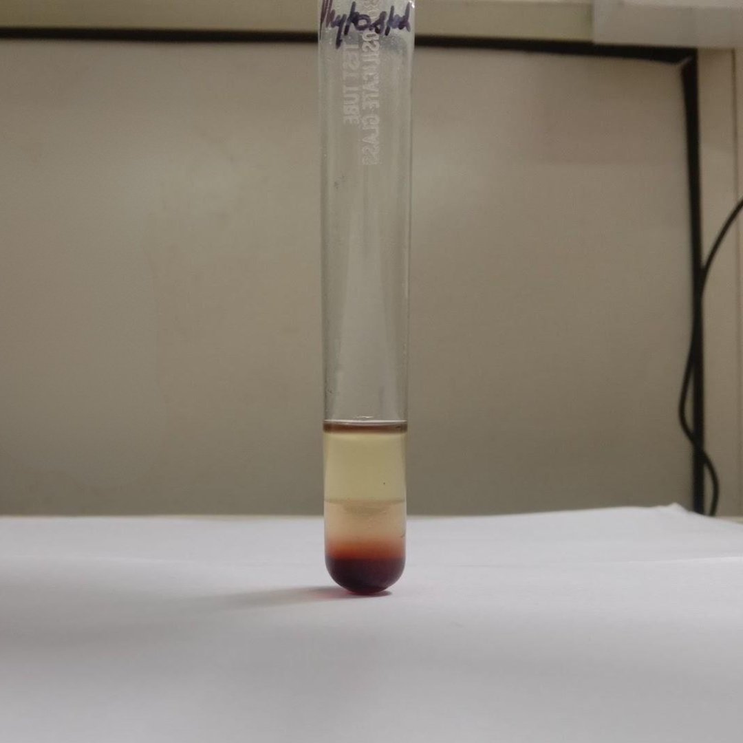 Phytosterols-testing-in-coconut-oil