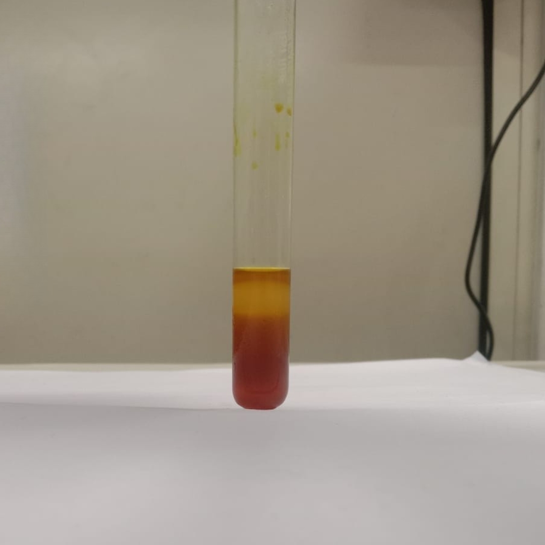 Tannin-testing-in-Neem-Seed-Oil