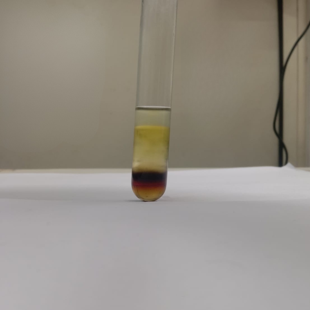 FTerpenoid-testing-Moringa-oil