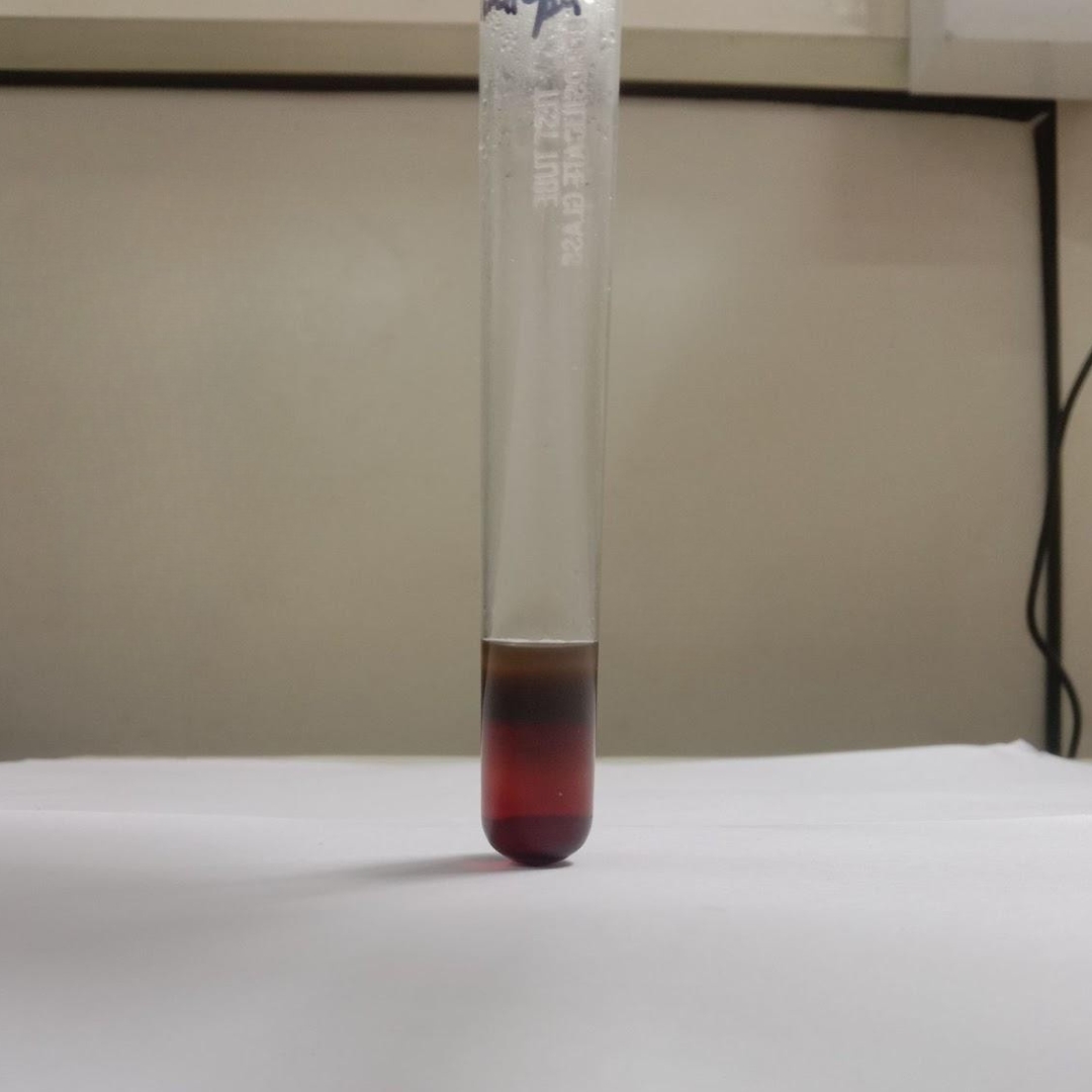Tri-terpenoidtesting-in-coconut-oil