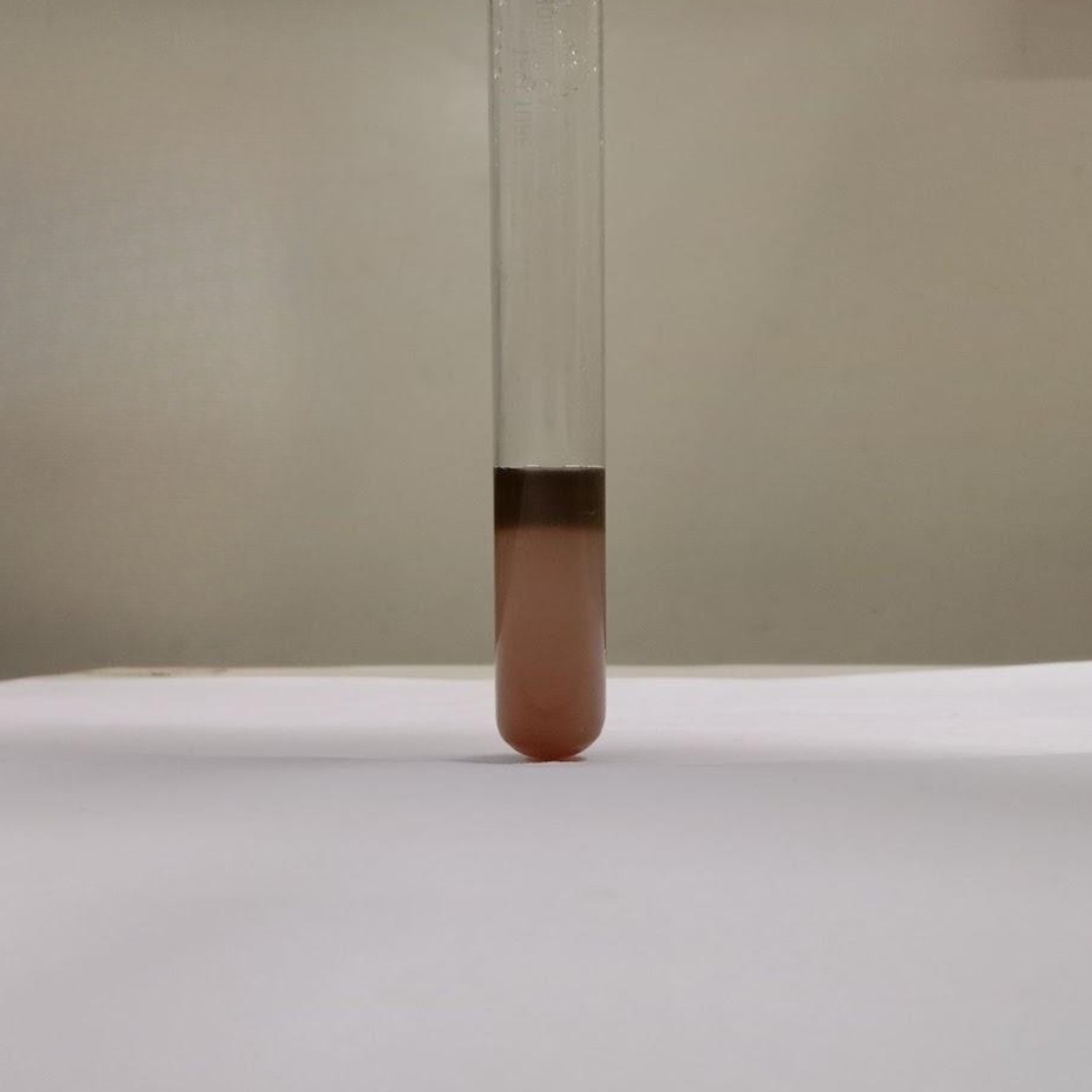 Triterpene-testing-in-Cucumber-Seed-Oil