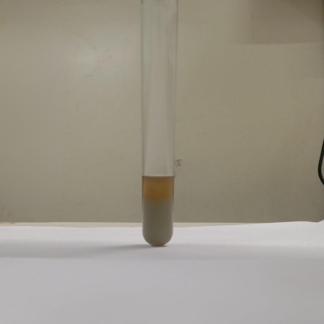 Triterpene-testing-in-Pumpkin-Seed-Oil