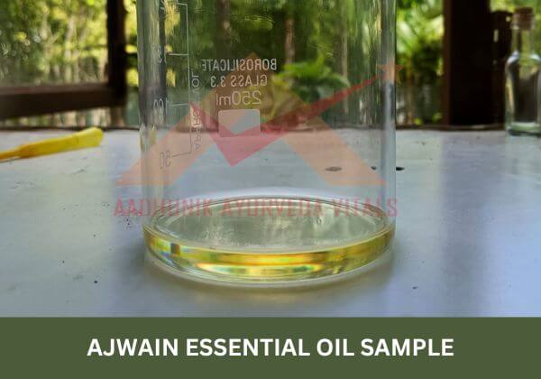 ajwain-essential-oil-sample