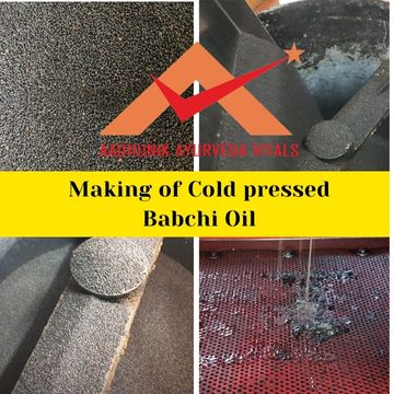 babchi-cold-pressed-oil-manufacture