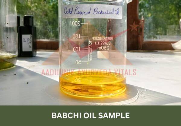 babchi-oil-sample