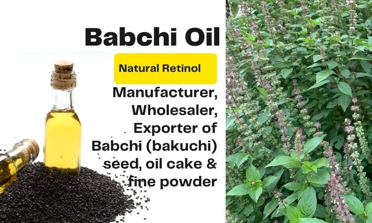 best-babchi-oil-manufacturer