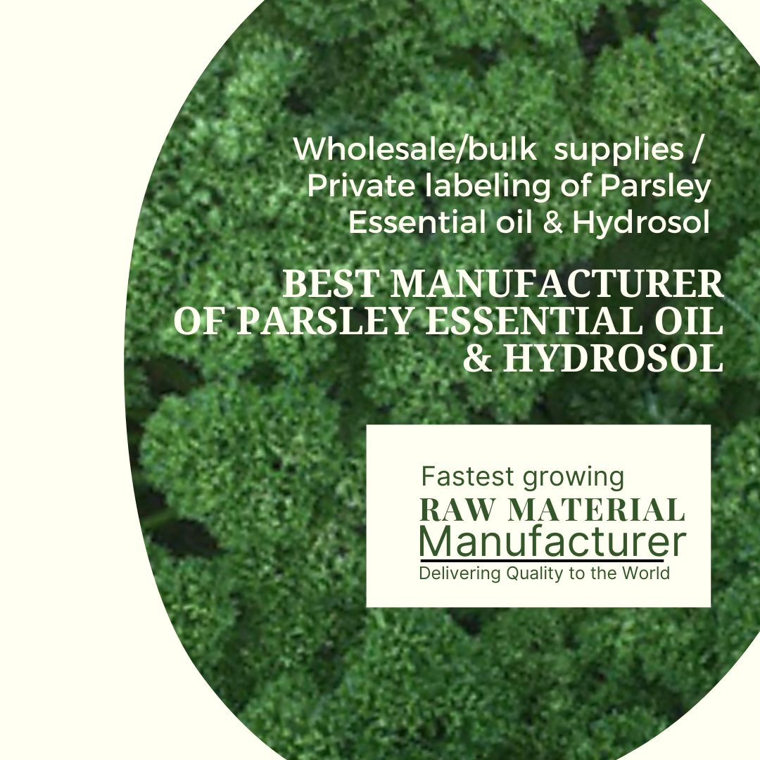 best-manufacturer-of-parsley-hyrosol-essential-oil-private-label