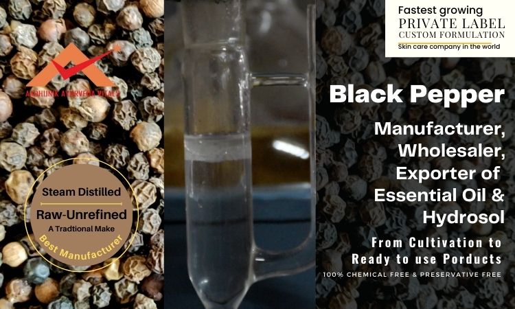 black-Pepper-hydrosol-and-essential-oil-manufacturer