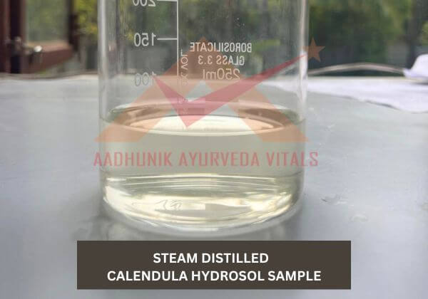 calendula-hydrosol-sample