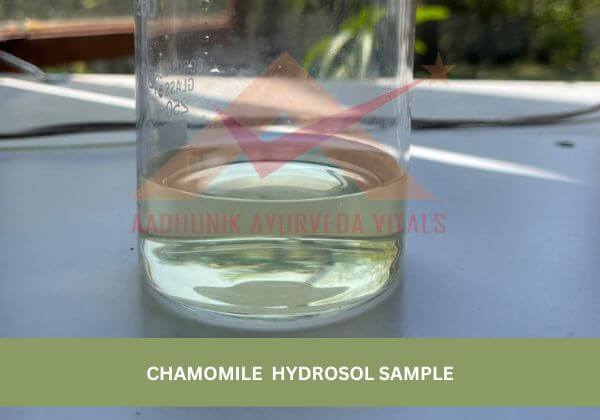 chamomile-hydrosol-sample