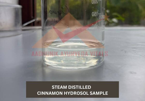 cinnamon-hydrosol-sample