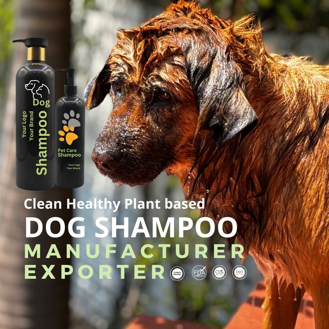 Best dog shampoo brand best sale