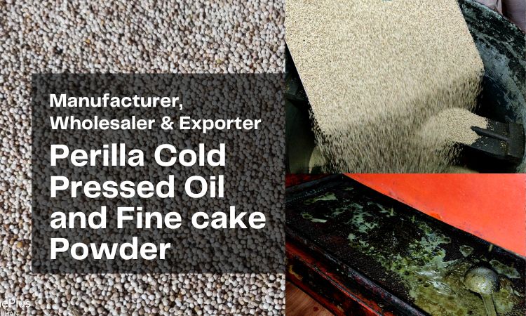 cold-pressed-perilla-oil-and-powder-manufacturer