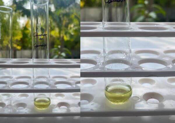 coumarin-testing-in-cinnamon-hydrosol