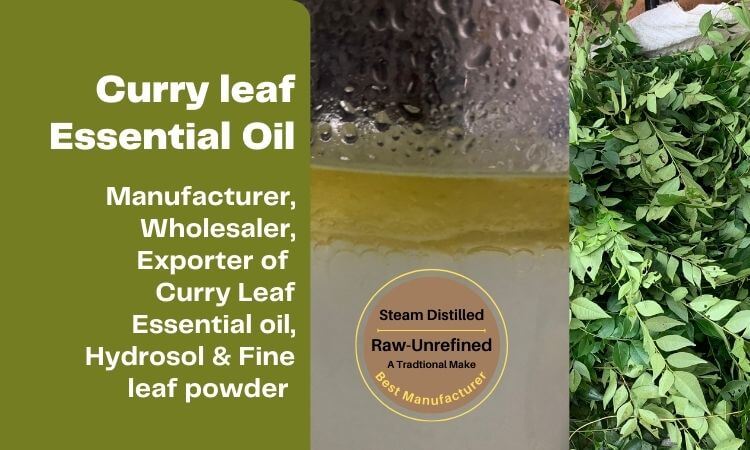 curry-leaf-oil-manufacturer