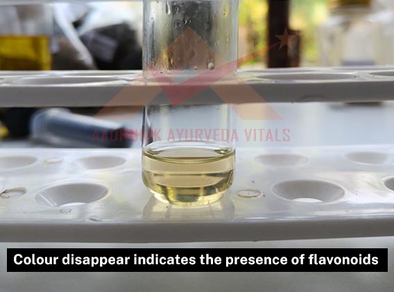 flavonoids-testing-in-rose-water