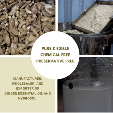 ginger-essential-oils-hydrosl-makers