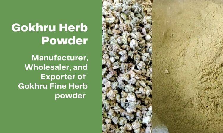 gokhra-herb-powder-manufacturer-supplier