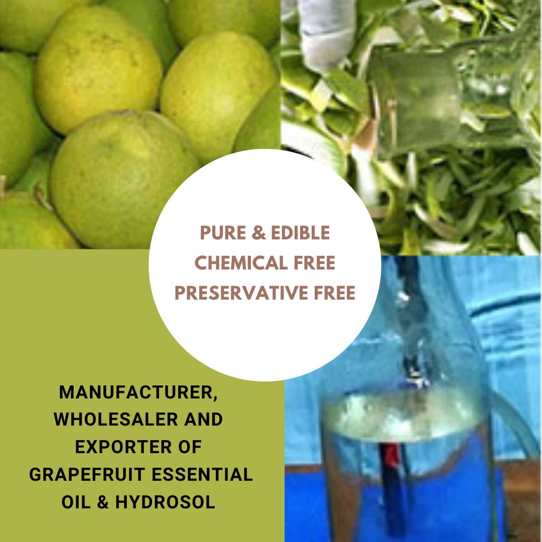 grapefruit-oil-and-hydrosol-manufacturer
