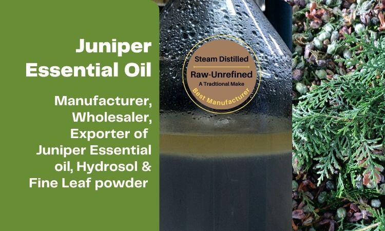 juniper-essential-oil-manufacturer-in-india