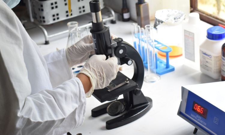 chemical free skincare , GMP Certified skincare products ,lab tested products