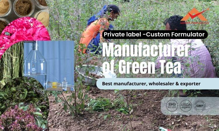 manufacturer-and-supplier-of-green-tea