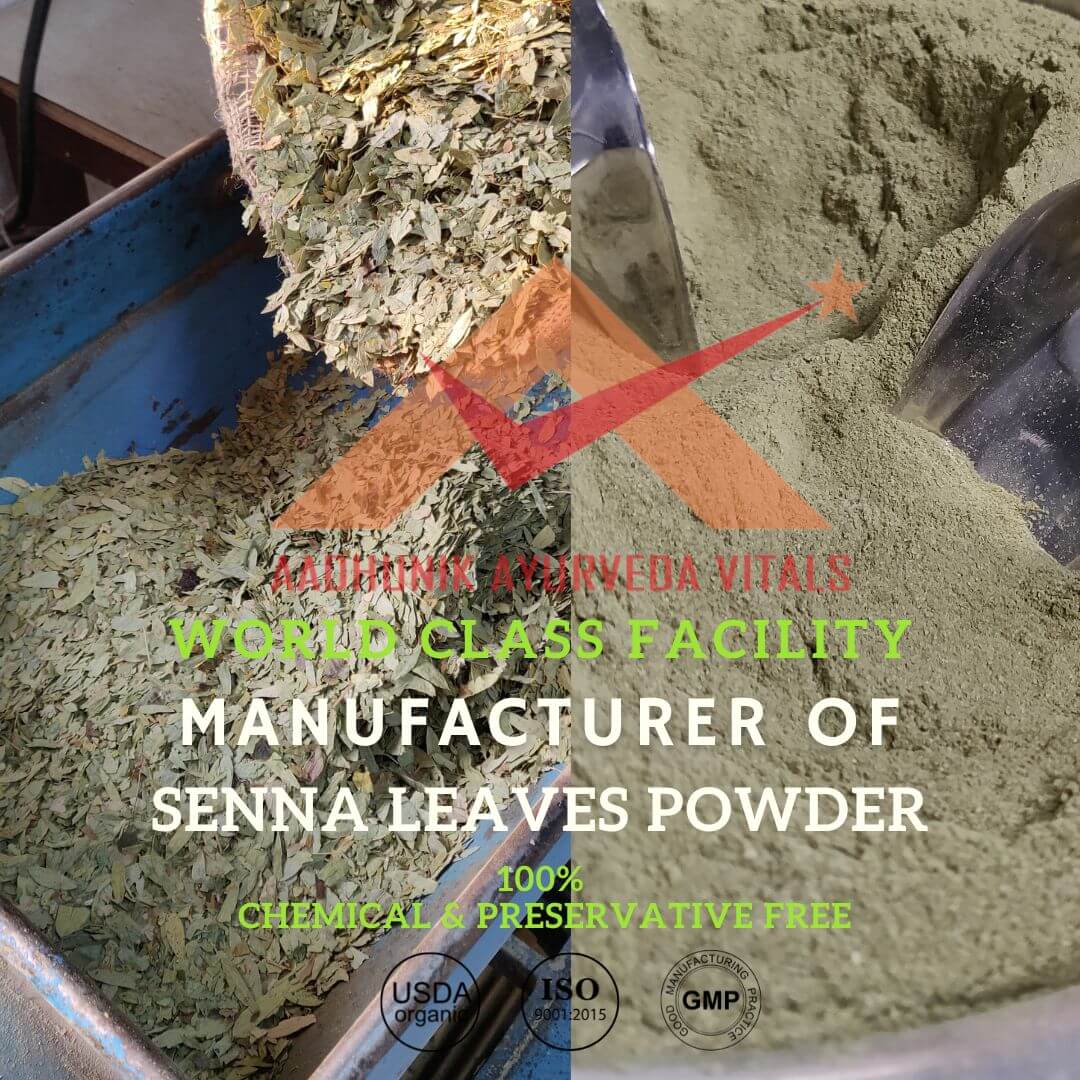 manufacturer-of-senna-leaf-powder
