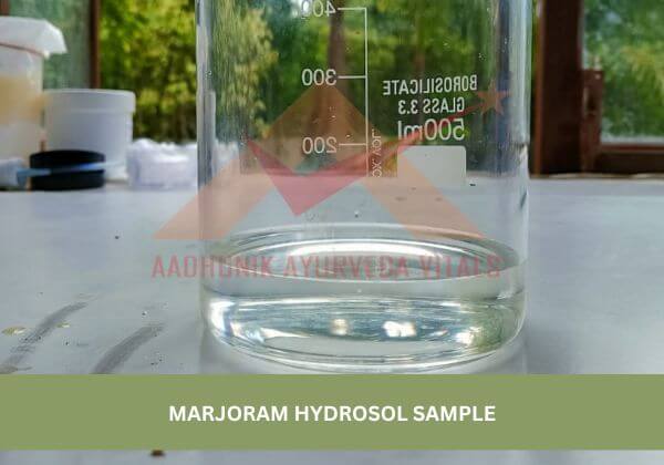 marjoram-leaves-hydrosol-sample
