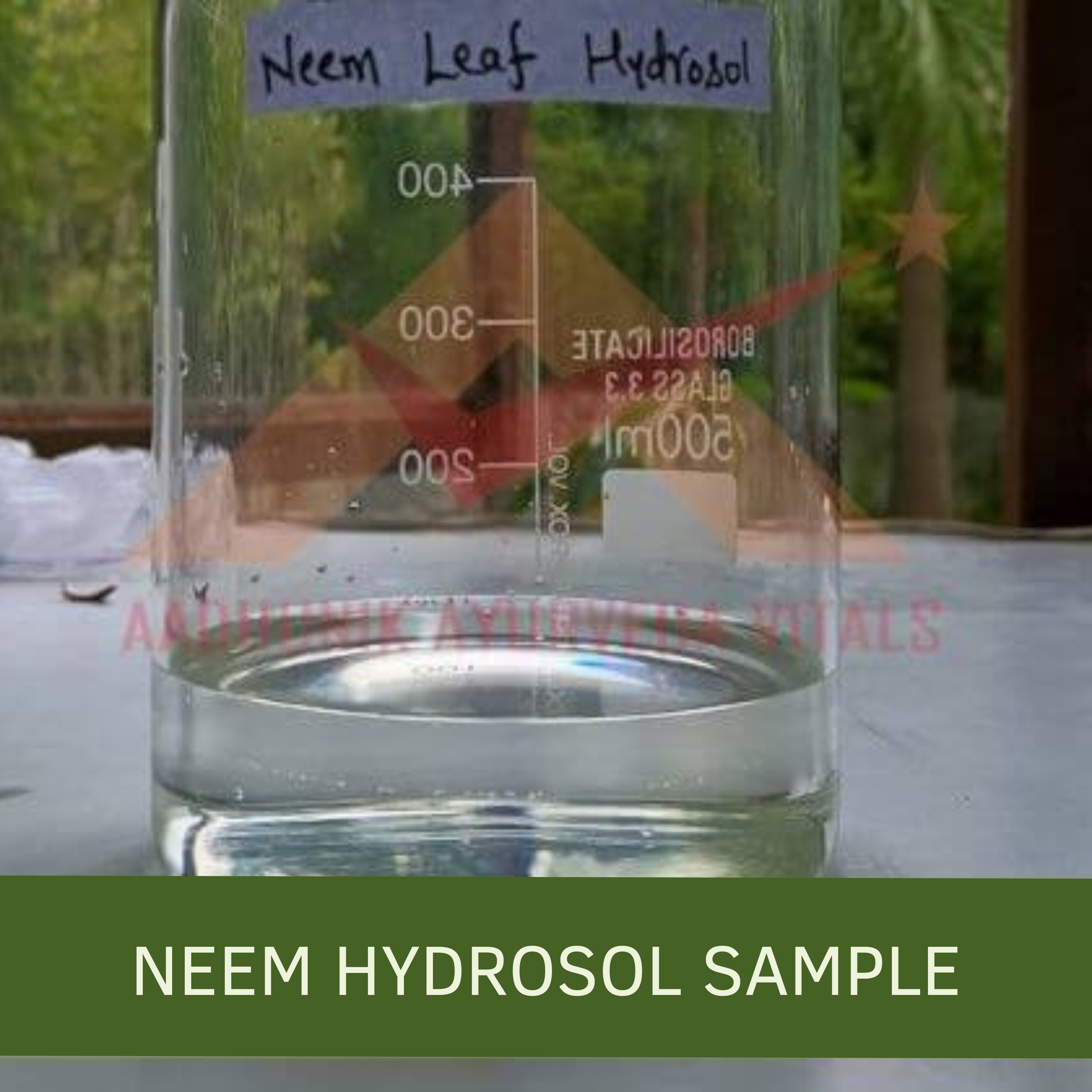 neem-leaves-sample