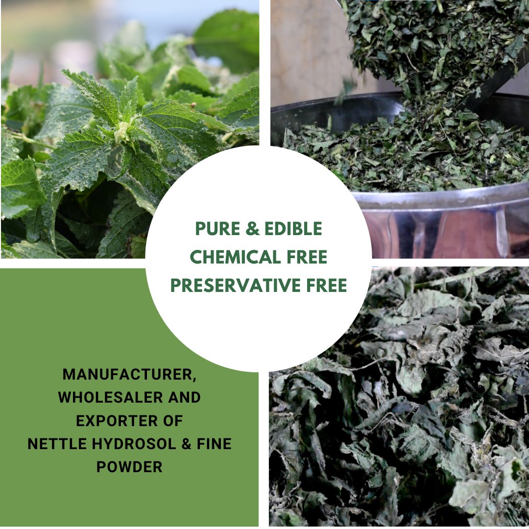nettle-herb-water-and-powder-manufacturer