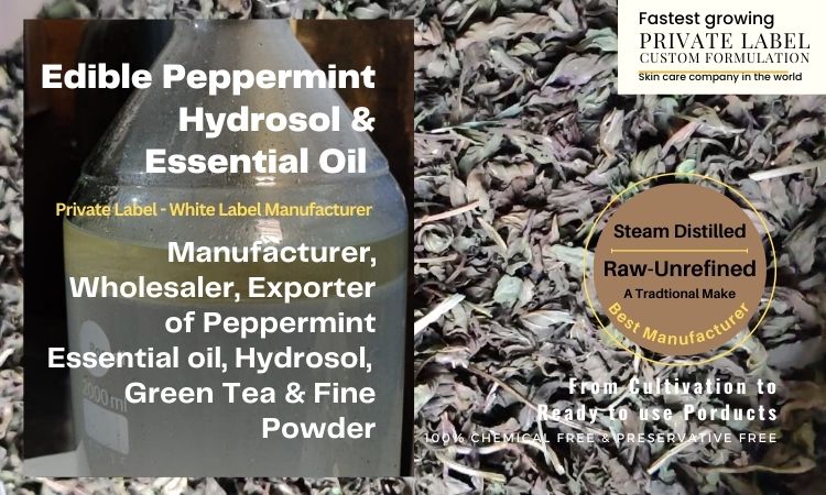 peppermint-essential-oil-and-hydrosol-manufacturer