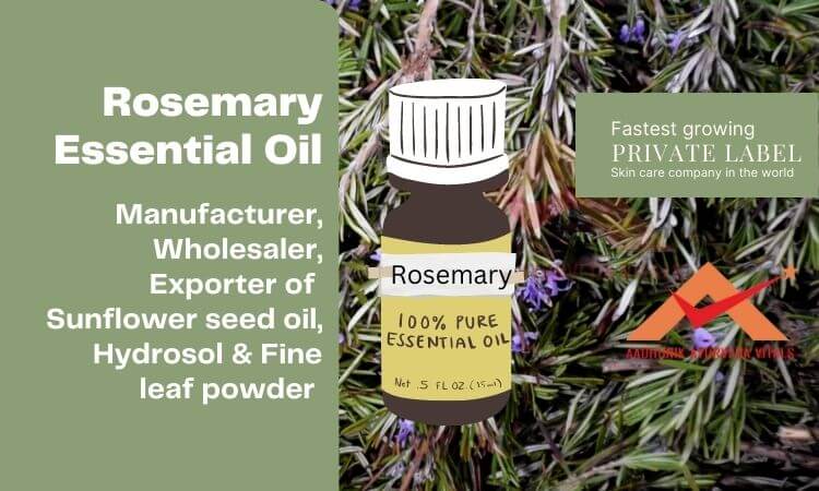 rosemary-essential-oil-manufacturer-in-india