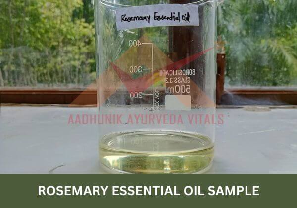 rosemary-essential-oil-sample