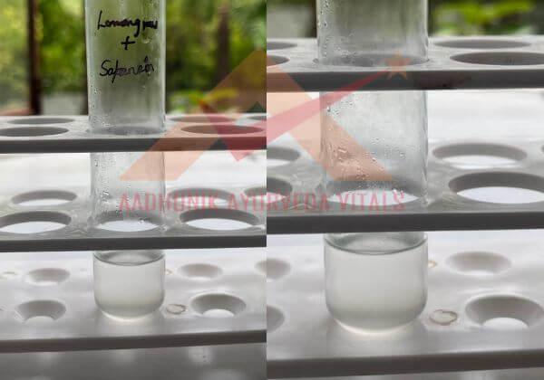 saponin-testing-in-lemongrass-hydrosol