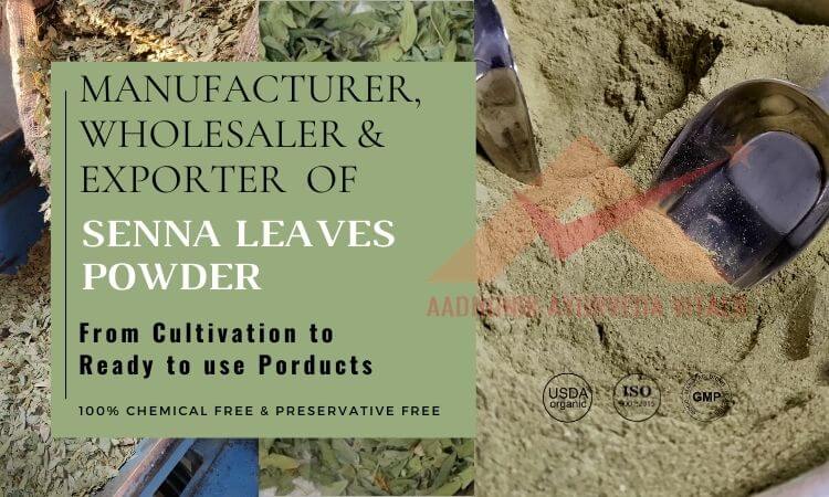 senna-leaves-powder-manufacturer-supplier