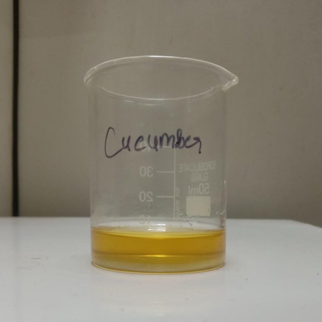 testing-in-Cucumber-Seed-Oil