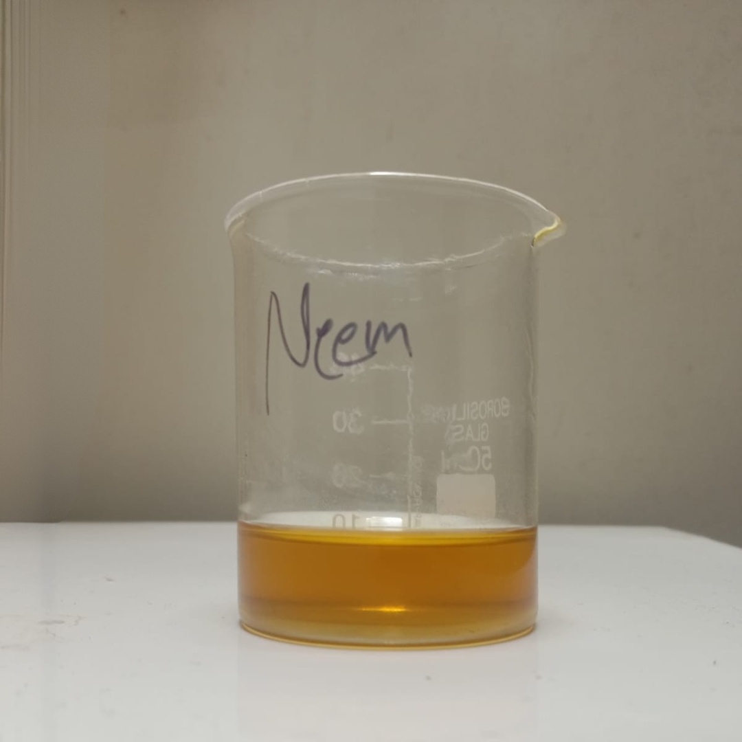 testing-in-Neem-Seed-Oil